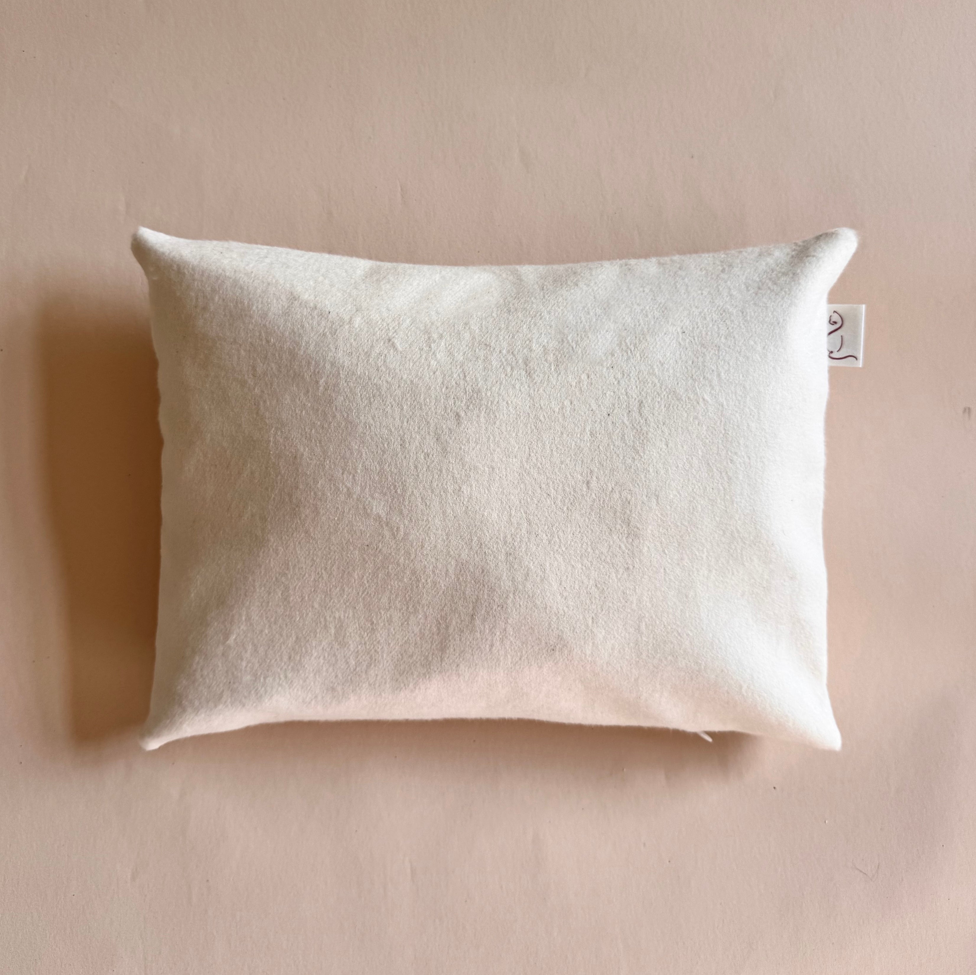 Flannel_Cat_Head_Pillow