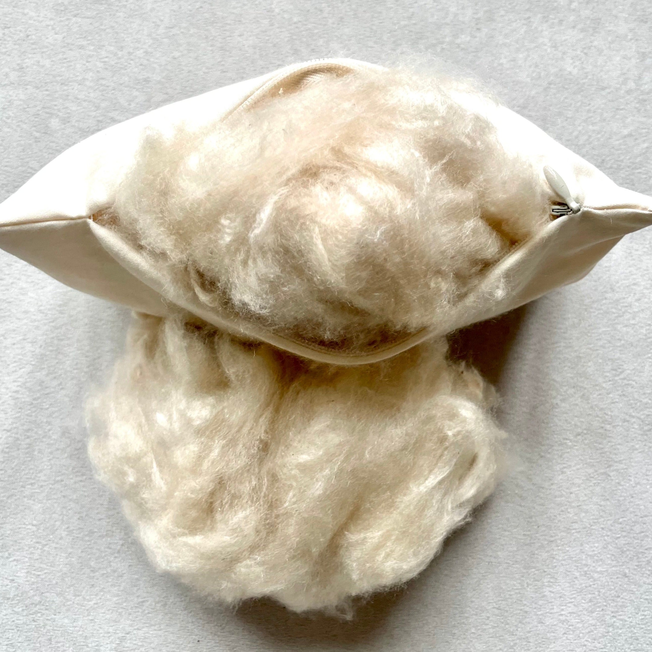 IMG_2665_eb1a11d4-c77b-4b30-a5e7-f3548733f4bf