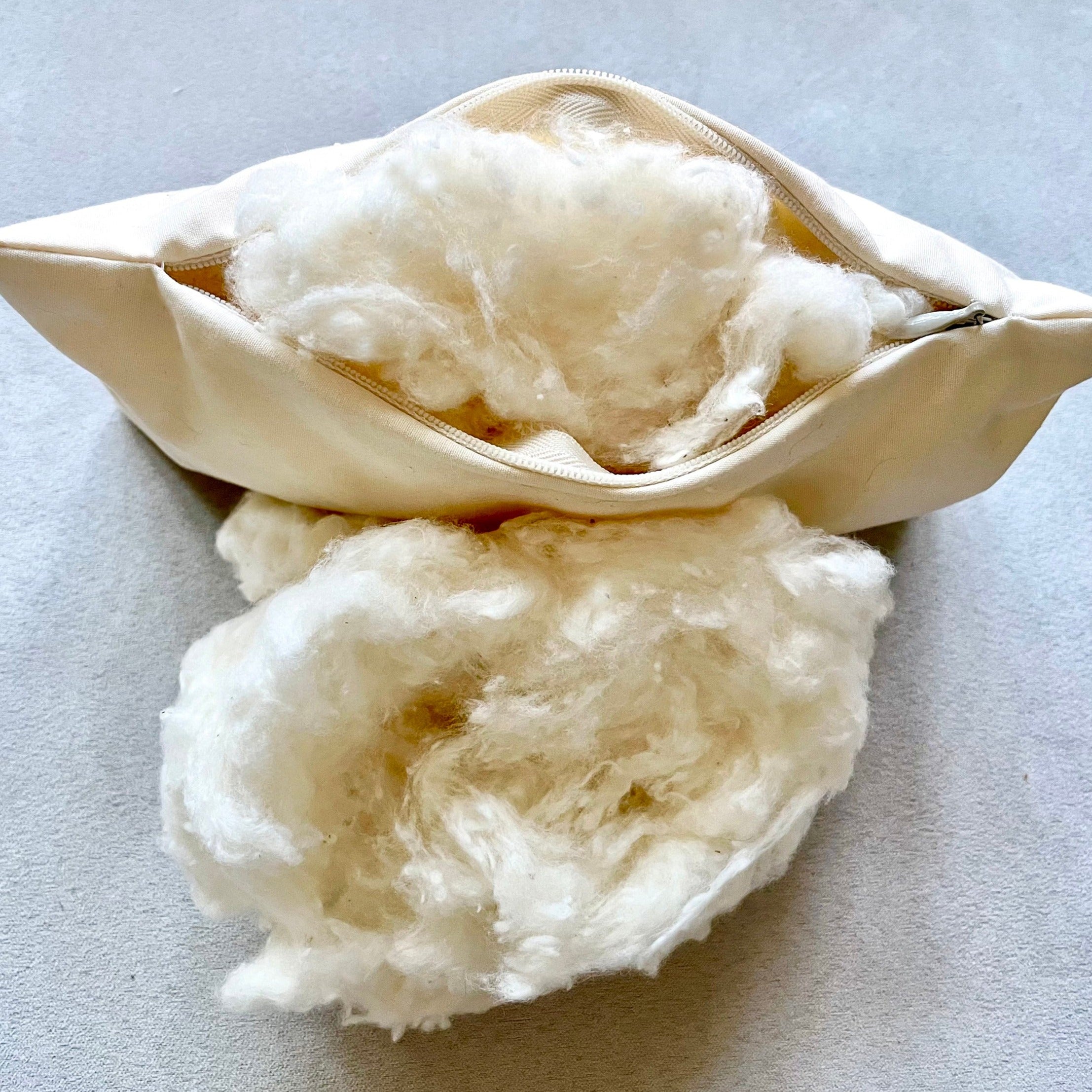 OrganicCotton_669359c4-ec60-4ca2-bb34-0b4e2dd613e7